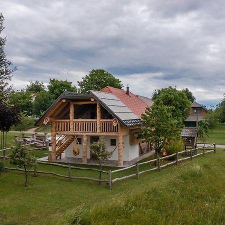 Holiday Home Virida, App Leopold III Ivancna Gorica Ngoại thất bức ảnh
