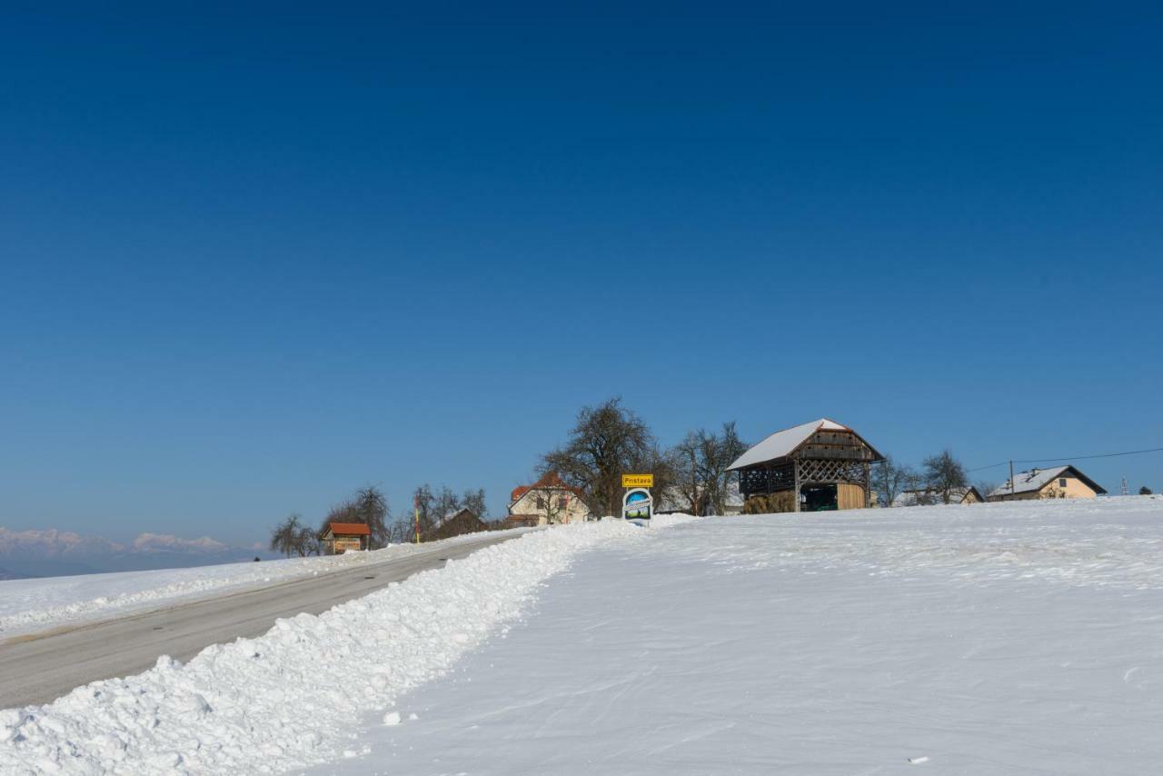Holiday Home Virida, App Leopold III Ivancna Gorica Ngoại thất bức ảnh