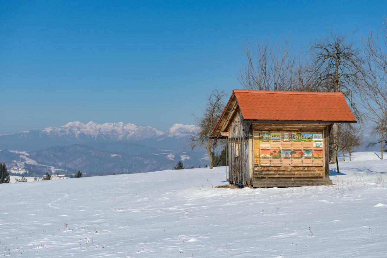 Holiday Home Virida, App Leopold III Ivancna Gorica Ngoại thất bức ảnh